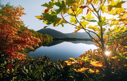 Batumi_Georgia_Fall_Autumn.jpg